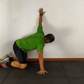 Estiramiento Pectoral Pared, paso 38